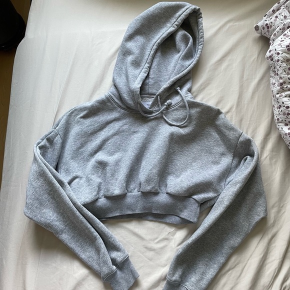 Aritzia TNA cropped hoodie - Picture 3 of 3